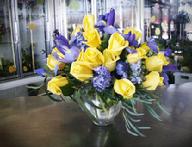 Flowers to send