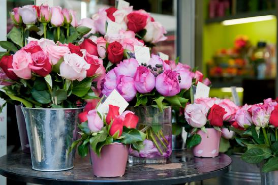 roses flower shop 
